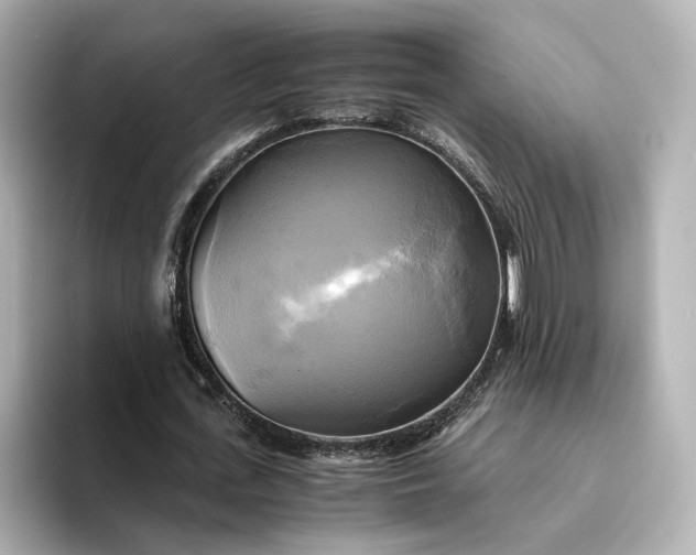 X0000095120723200712211309