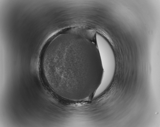 X0000095120724200712211309