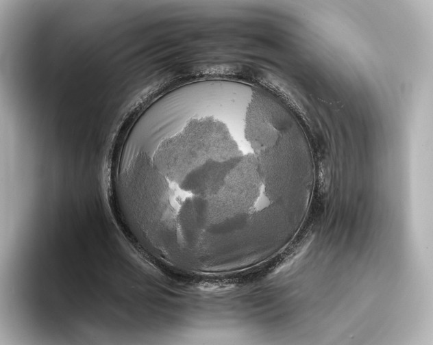 X0000095120725200712211309