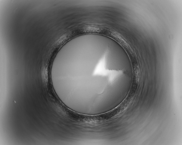 X0000095120729200712211309