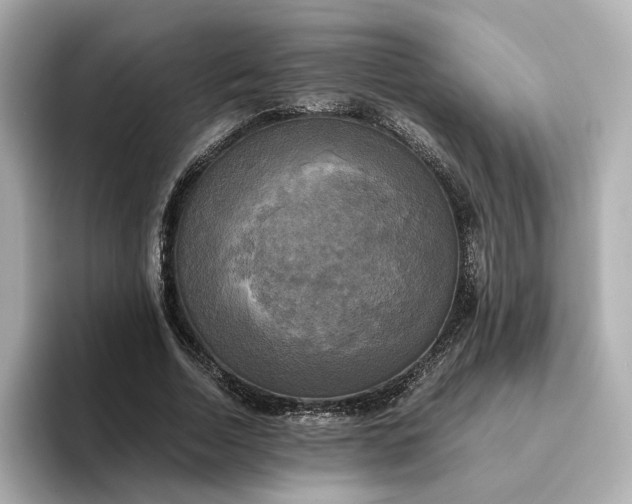 X0000095120730200712211309