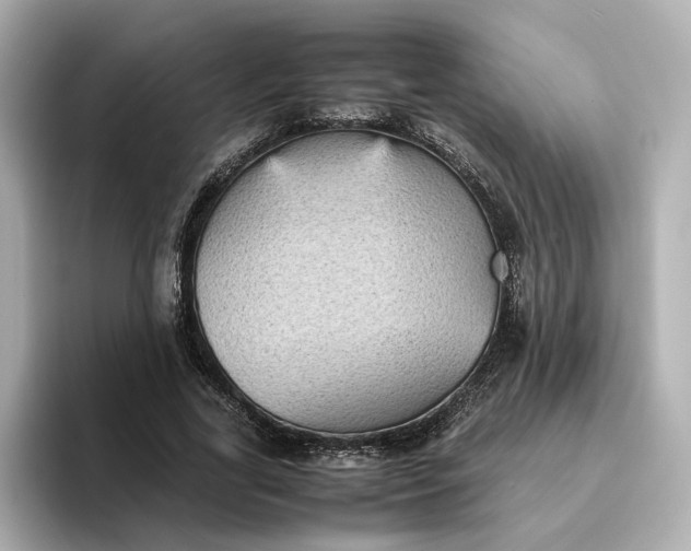 X0000095120731200712211309