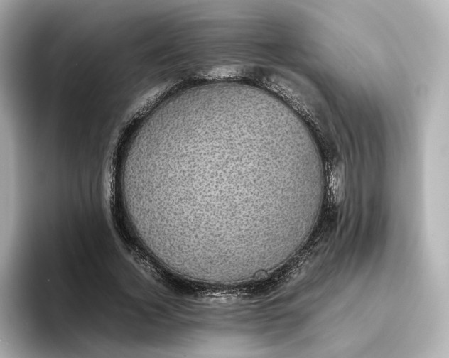 X0000095120732200712211309