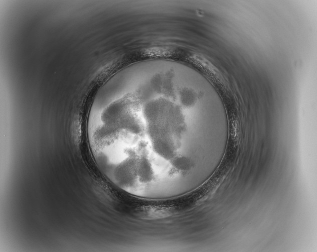 X0000095120733200712211309