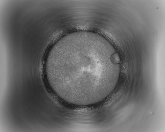 X0000095120738200712211309