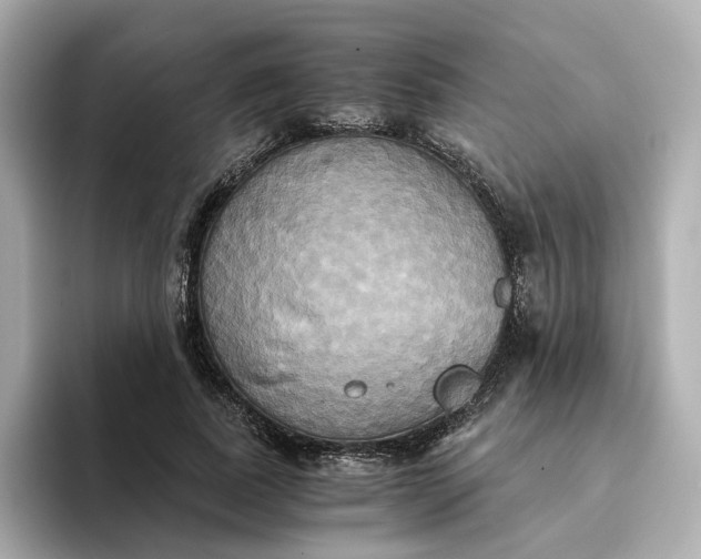 X0000095120739200712211309