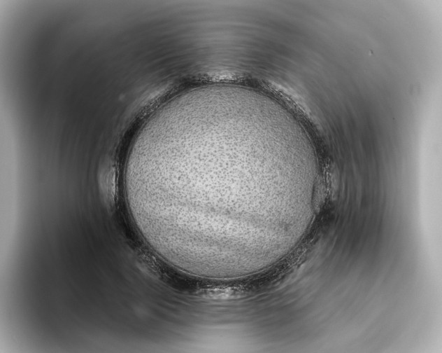 X0000095120740200712211309