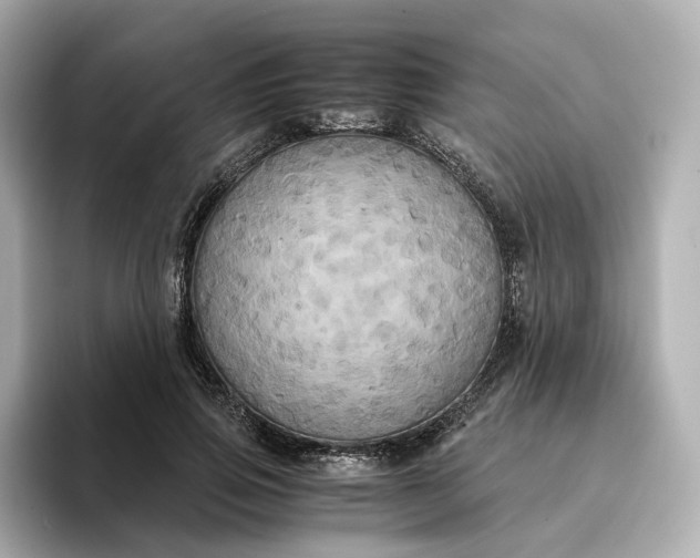 X0000095120741200712211309