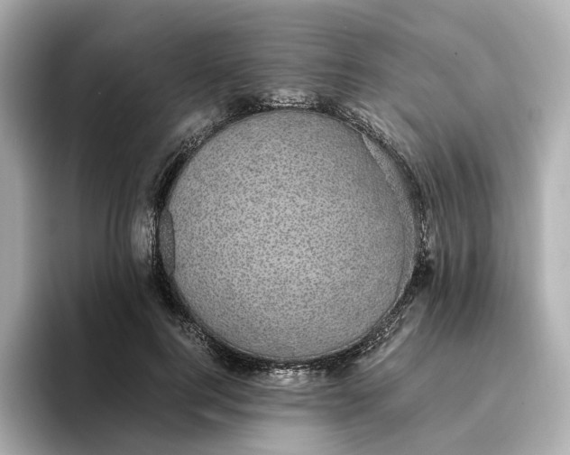 X0000095120744200712211309