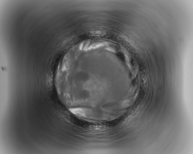 X0000095120745200712211309