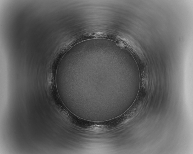 X0000095120748200712211309