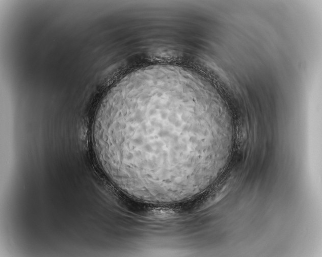 X0000095120749200712211309