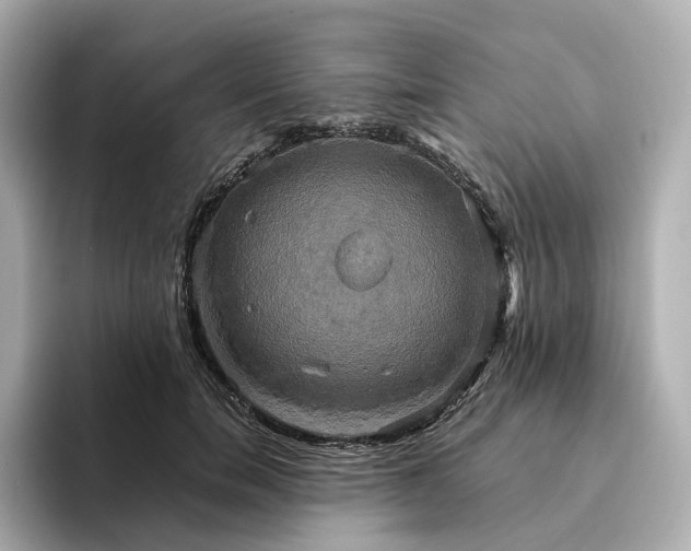 X0000095120750200712211309