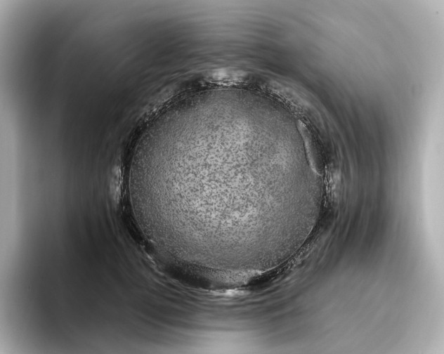 X0000095120752200712211309