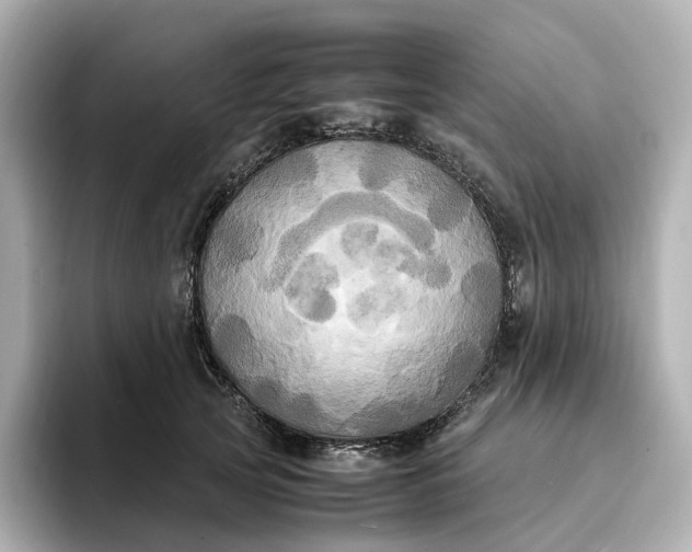 X0000095120753200712211309