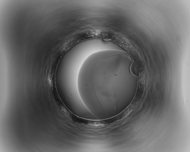 X0000095120754200712211309