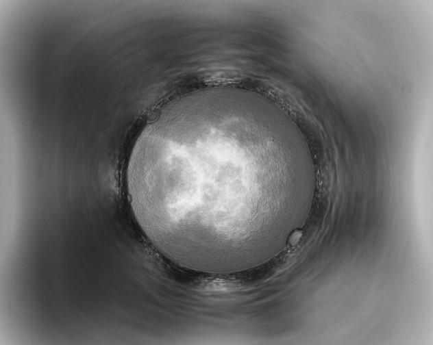 X0000095120755200712211309