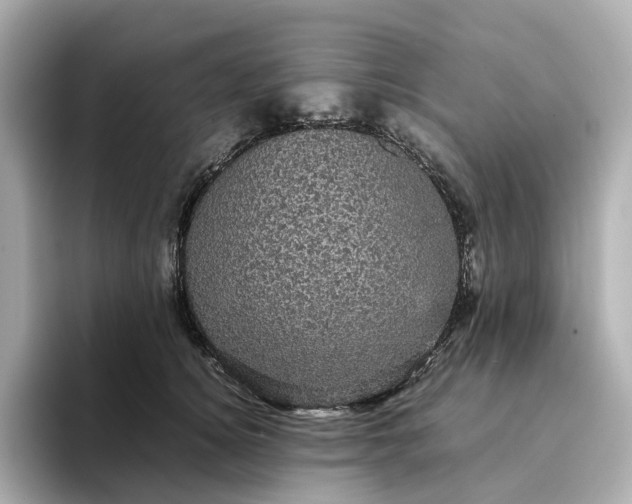 X0000095120756200712211309