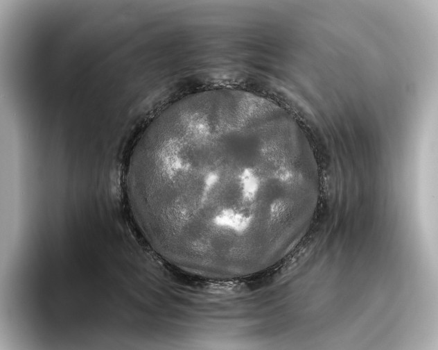 X0000095120757200712211309