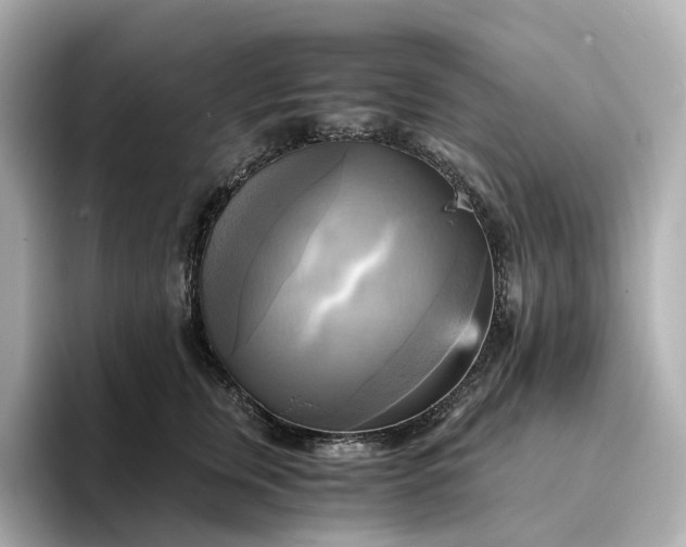 X0000095120759200712211309