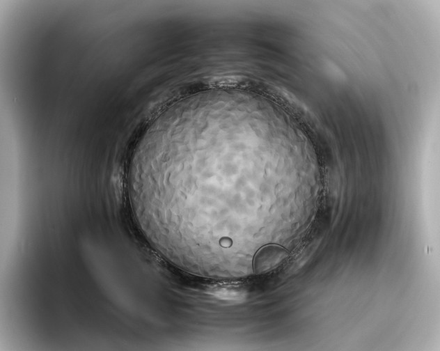 X0000095120761200712211309