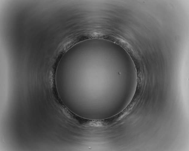 X0000095120762200712211309