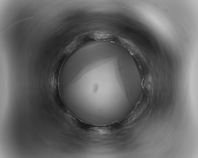 X0000095120763200712211309