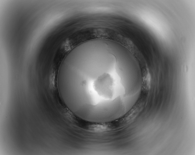 X0000095120765200712211309