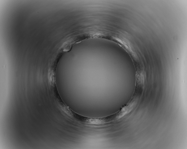 X0000095120766200712211309