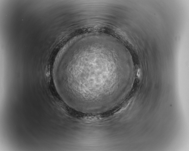 X0000095120771200712211309