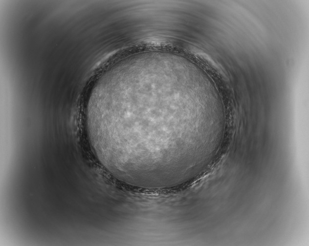 X0000095120776200712211309