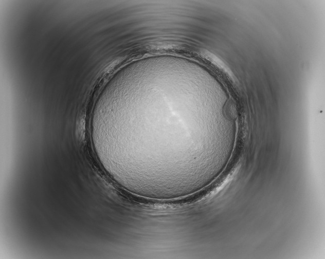 X0000095120777200712211309