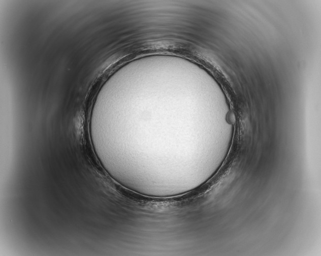 X0000095120778200712211309