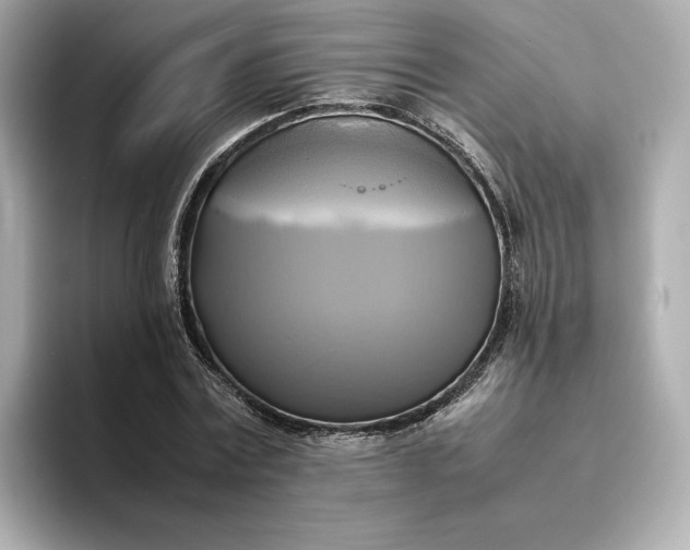 X0000095120779200712211309