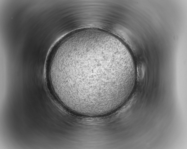 X0000095120780200712211309