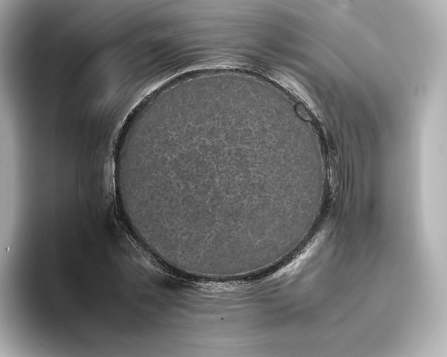 X0000095120781200712211309