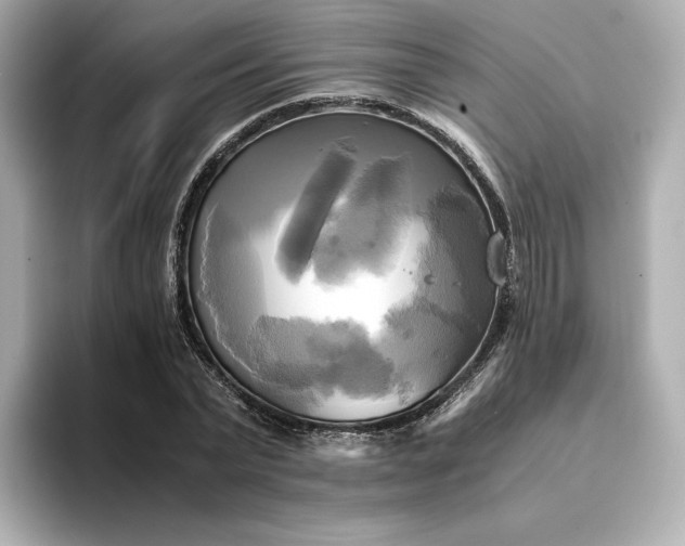 X0000095120783200712211309