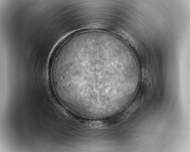 X0000095120784200712211309