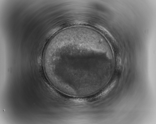 X0000095120785200712211309