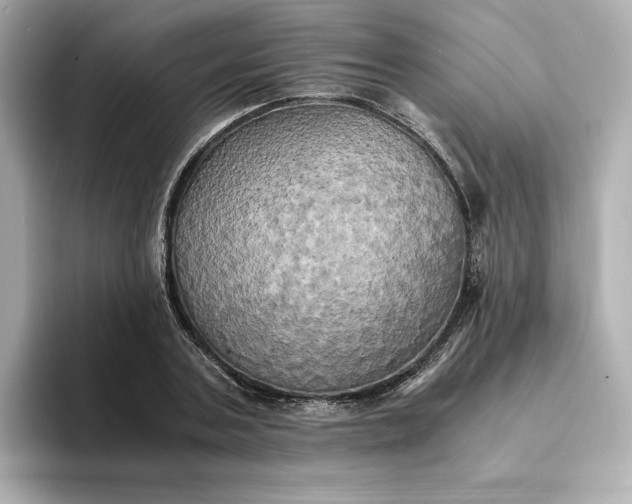 X0000095120787200712211309