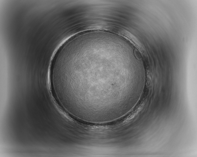 X0000095120788200712211309