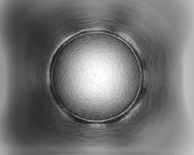 X0000095120789200712211309