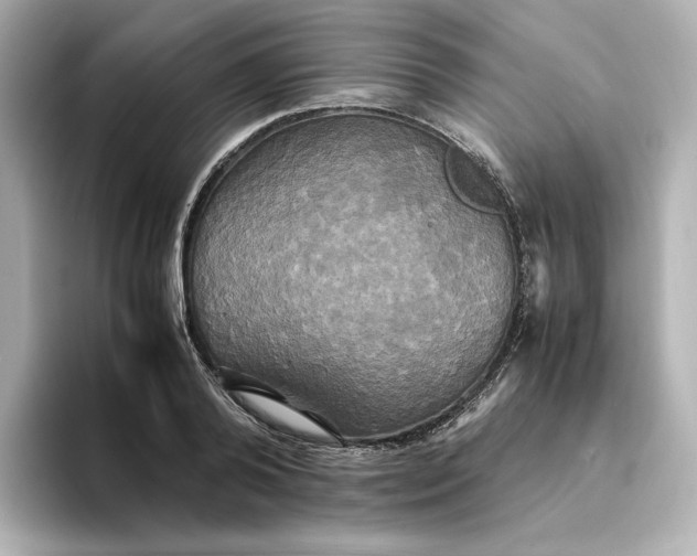 X0000095120792200712211309