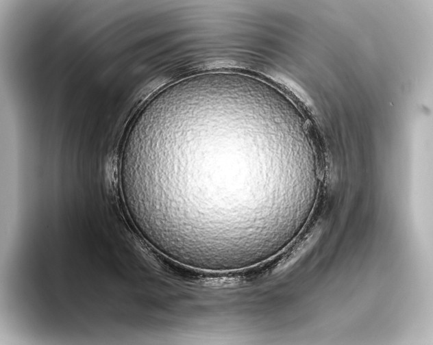 X0000095120793200712211309