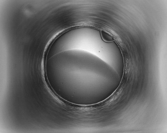 X0000095120796200712211309