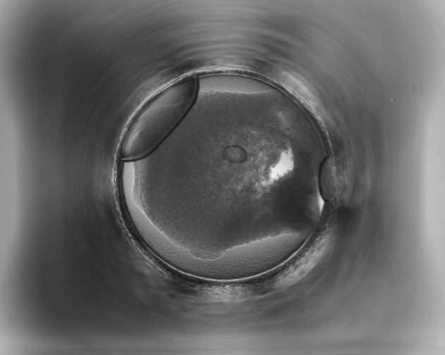 X0000095120797200712211308