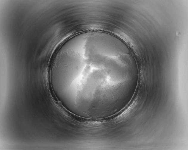 X0000095120798200712211308