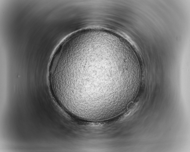 X0000095120799200712211308