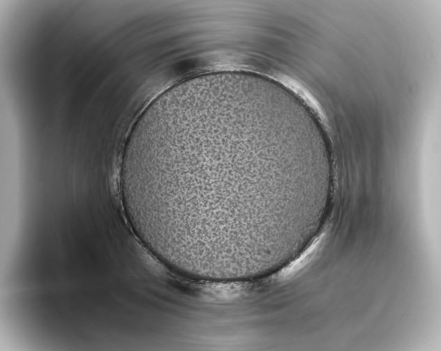 X0000095120801200712211308