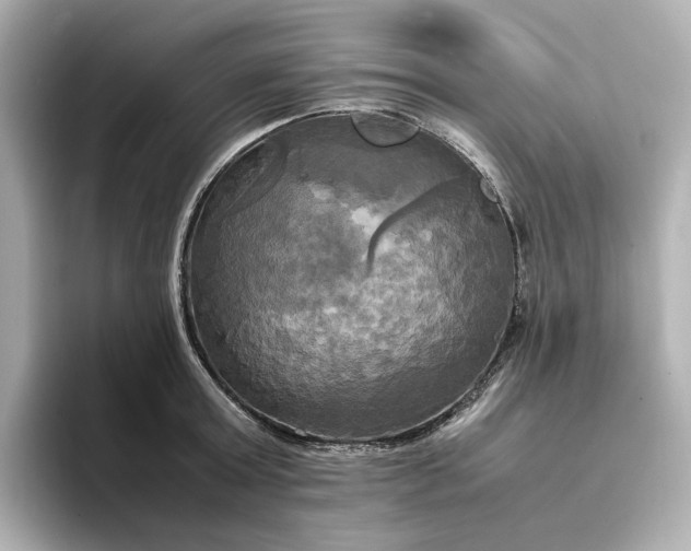 X0000095120803200712211308